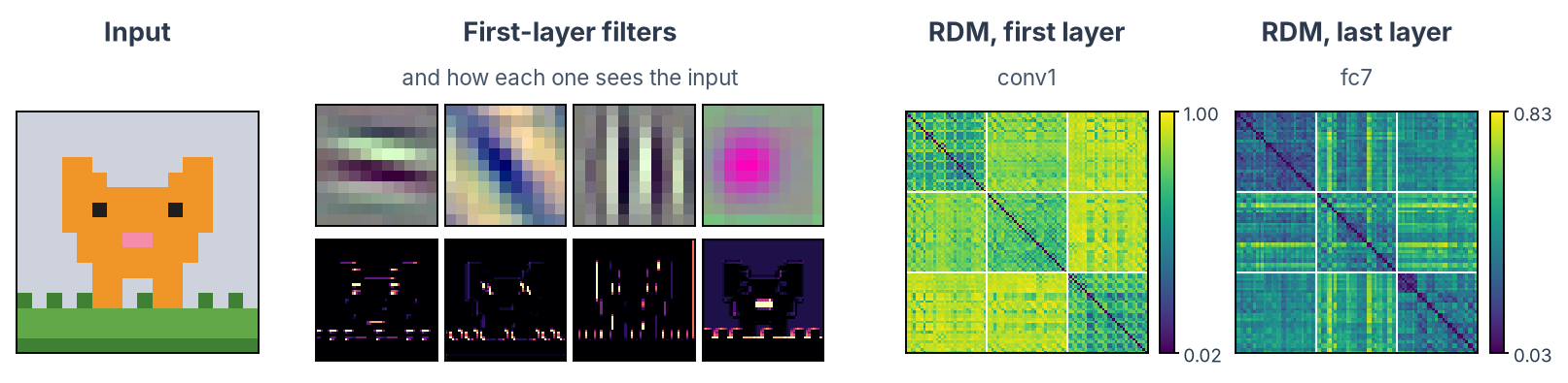 AlexNet: the cat sprite; four conv1 filters (horizontal edge, oblique edge, vertical grating, colour centre-surround), each above its response to the cat; RDMs of conv1 and fc7 over the 96 sprites