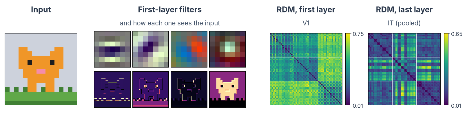 CORnet-S: the cat sprite; four V1 filters (horizontal bar, oblique bar, colour edge, centre-surround), each above its response to the cat; RDMs of V1 and IT over the 96 sprites