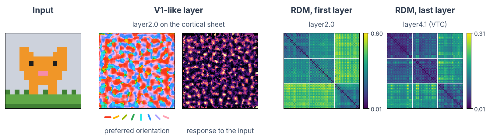 TDANN: the cat sprite; the V1-like layer, layer2.0, on the cortical sheet: each unit's preferred orientation, with a key of oriented bars, and each unit's response to the cat; RDMs of layer2.0 and layer4.1 over the 96 sprites