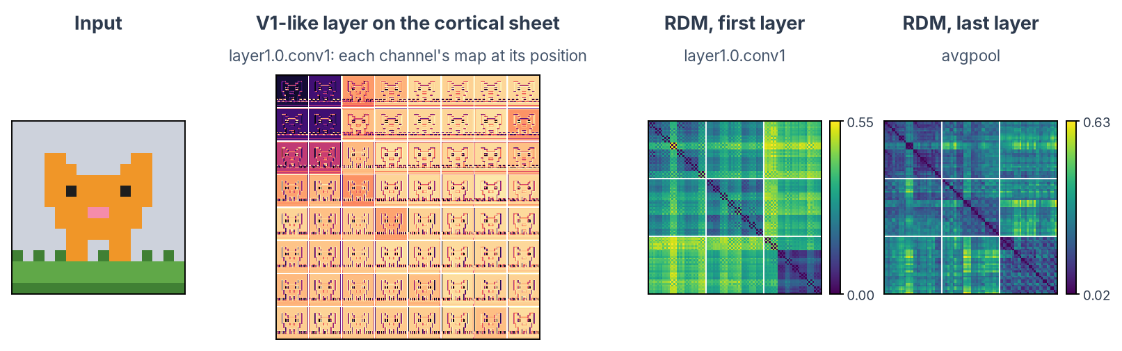 TopoNets: the cat sprite; the response map of each channel of layer1.0.conv1, tiled at the channel's position on the 8 × 8 sheet; RDMs of layer1.0.conv1 and avgpool over the 96 sprites