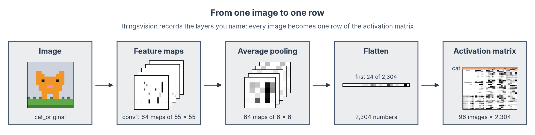 From one image to one row of the activation matrix: feature maps, pooling, flattening
