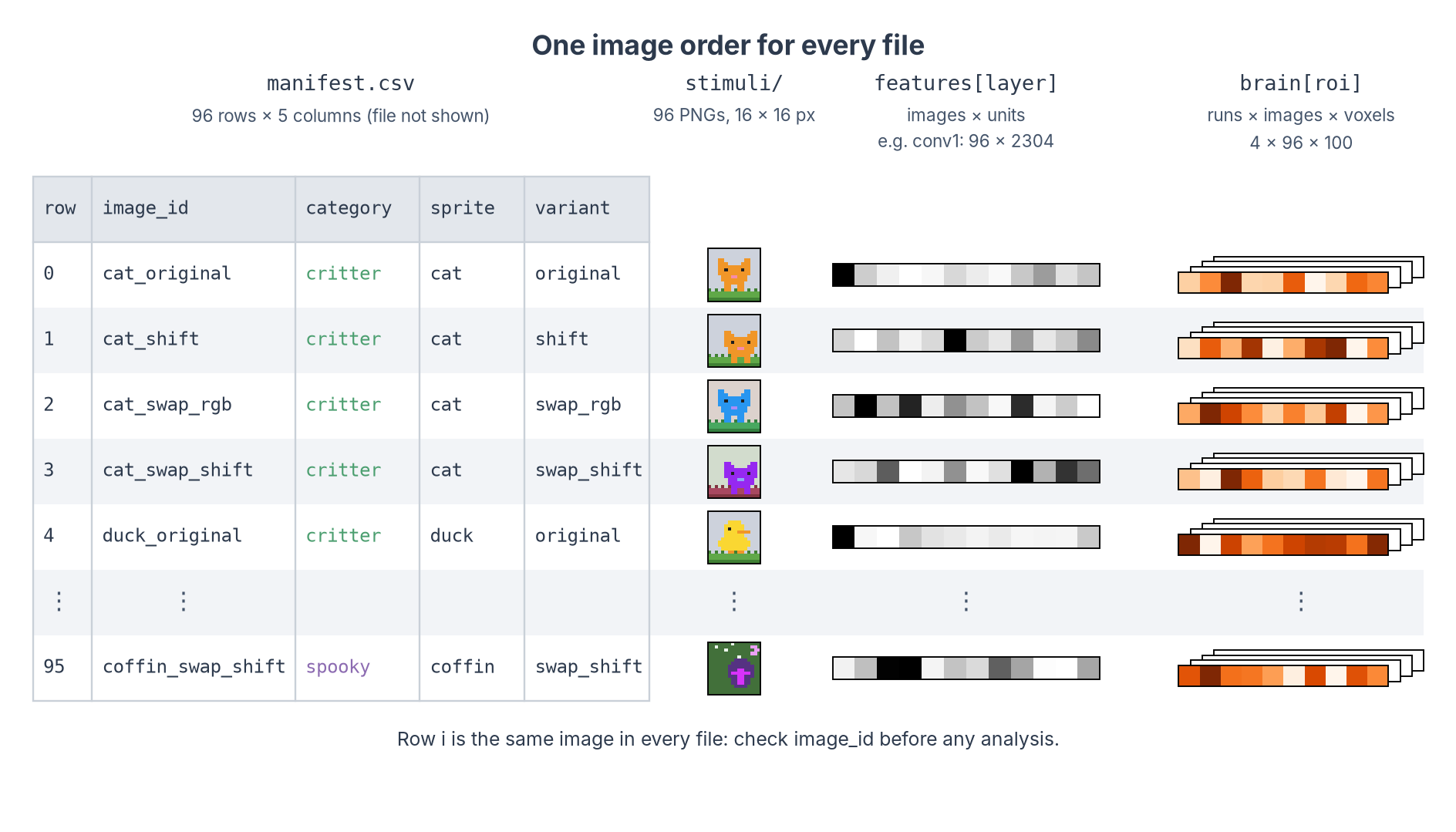 Every file lists the images in the same order: manifest, stimuli, activations and brain data