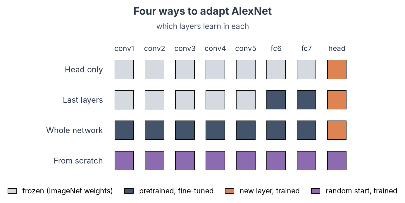 Four ways to adapt AlexNet: which layers are trained in each
