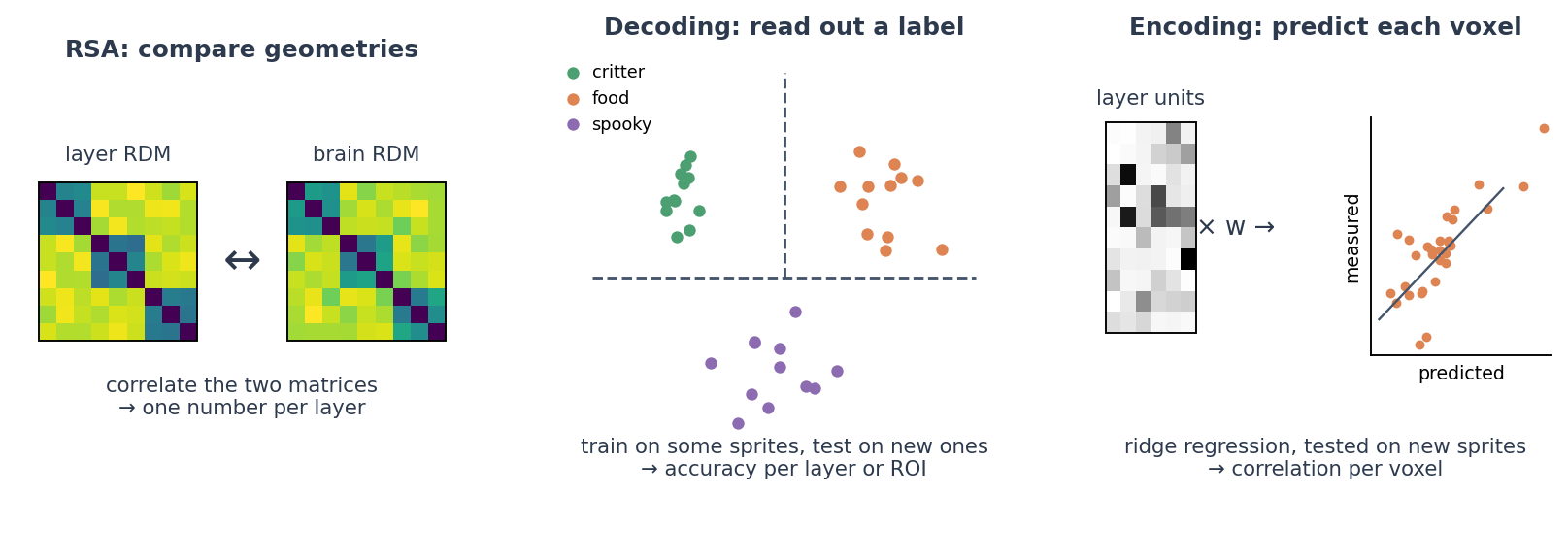 RSA compares dissimilarity matrices, decoding reads out a label, encoding predicts each voxel