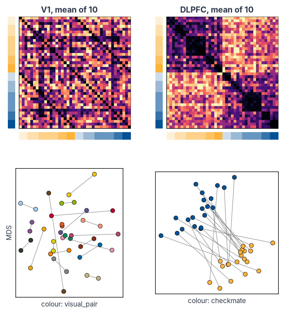 Mean crossnobis RDMs of V1 and DLPFC as percentiles, with the MDS of each below