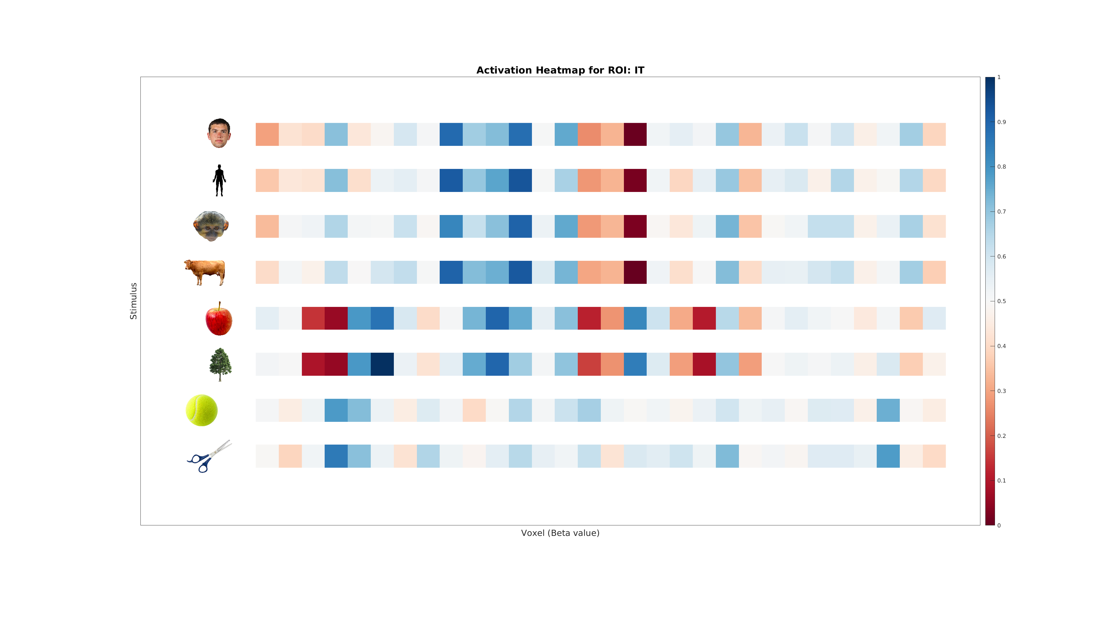 activation heatmap