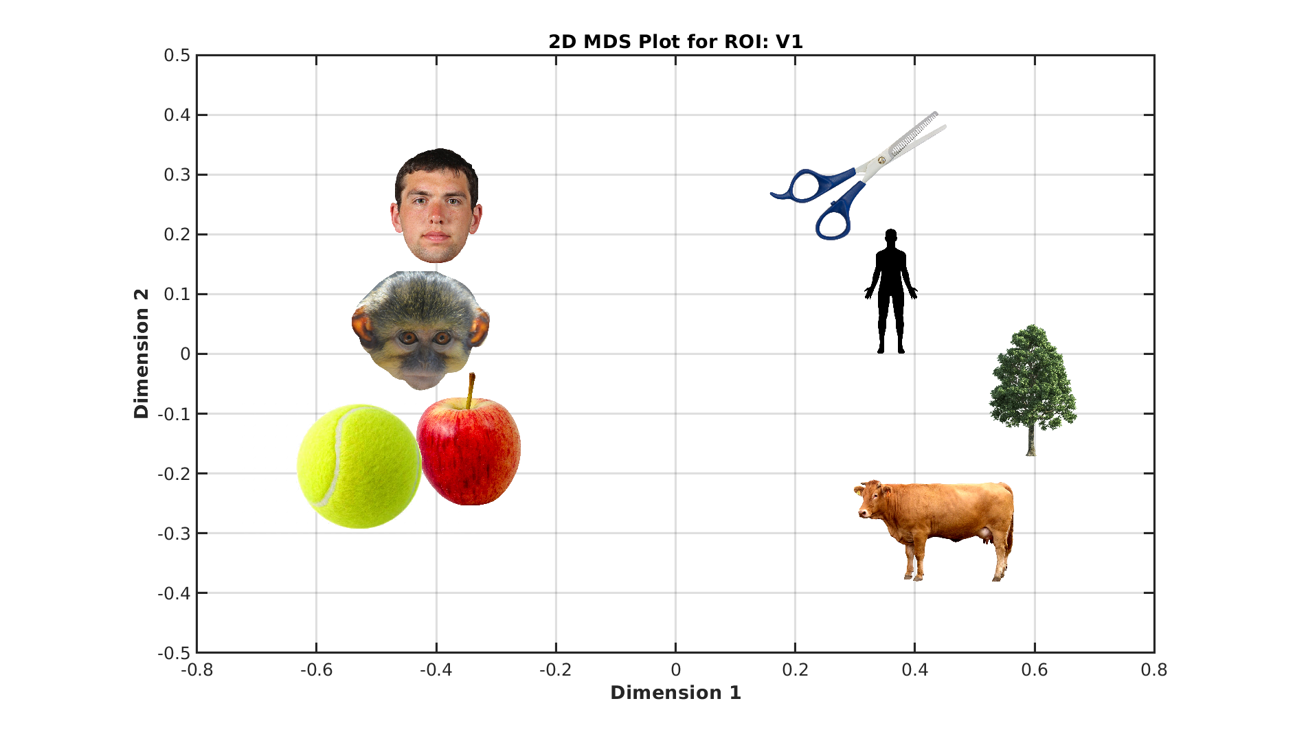 V1 MDS plot