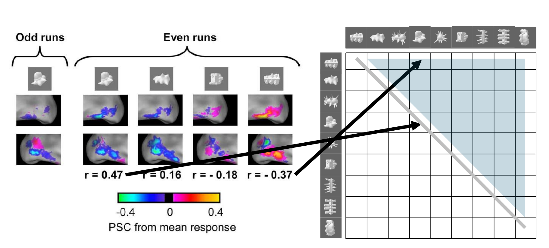 correlation matrix